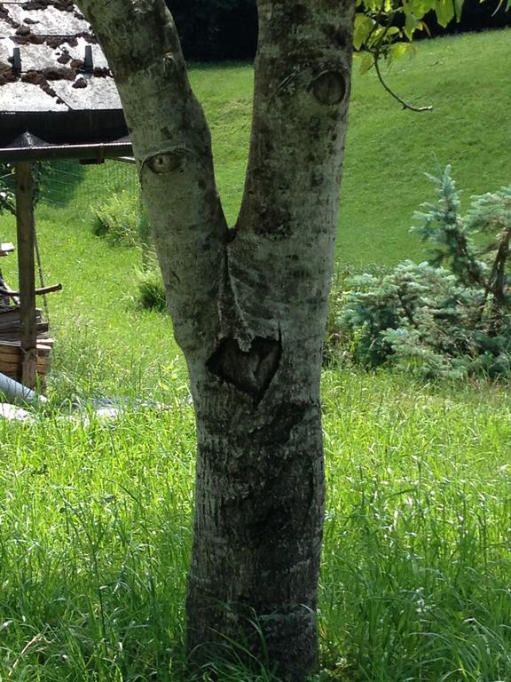 Casa Mia Villa Egg Værelse billede